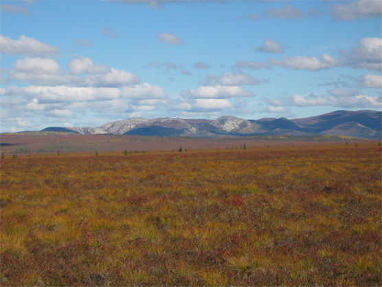 The northern section of unit 38 in fall