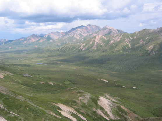 a wide grassy valley over looked by a rugged mountain