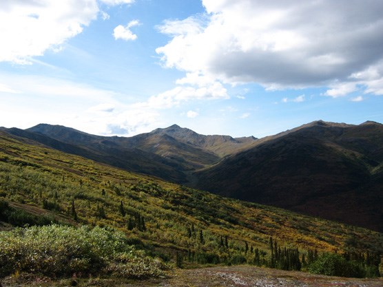 The Kantishna Hills