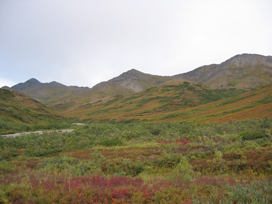 Kantishna Hills in autumn