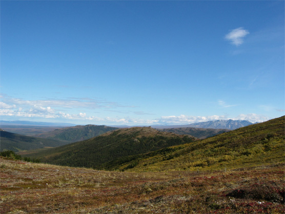 Ridge tops in the Kantishna Hills