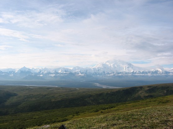 Mount McKinley and the Muddy River, seen from Mt. Brooker