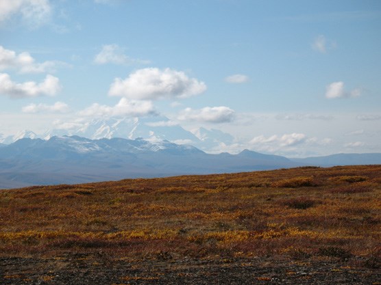 a tree-less ridge looking out at a vast white mountain in the distance