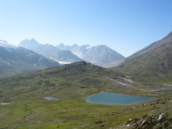 A high-alpine meadow rugged mountains in the distance