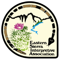 ESIA image