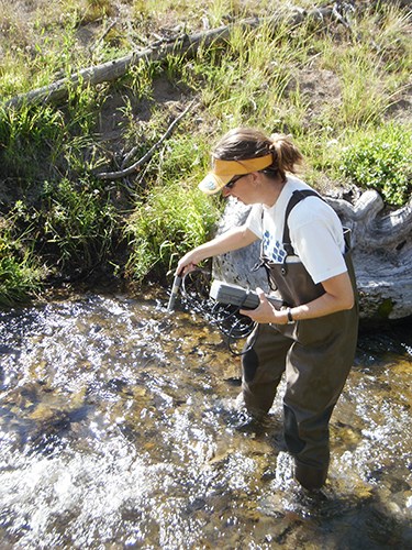 Water Quality Testing