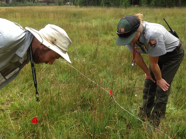 A scientist and a monument resource manager peer down at wetland plants in a monitoring plot.