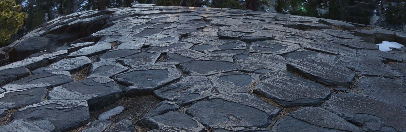 Photo of the top of the Devils Postpile formation showing hexagons