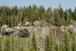 Nature and Science