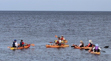 Kayak trips