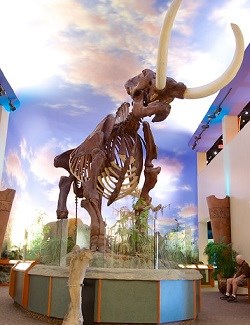 South-Florida-Museum-65590