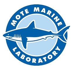 logo-lab-new