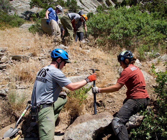 A ranger and a volunteer working together