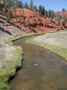 River with red cliffs in background