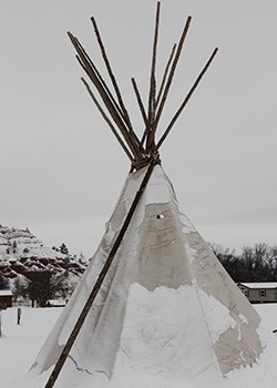 Black Bear Definition Sign – The Indian Tepee