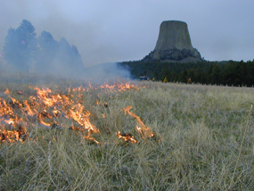 2002 Prescribed Fire at Devils Tower 2002 Prescribed Fire at Devils Tower