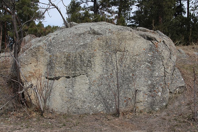 A large boulder partially covered by soil and plants.