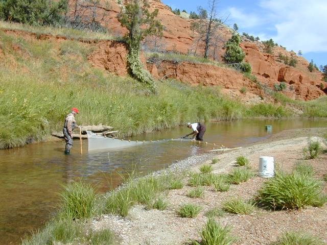 Two researchers standing in a river with a large net