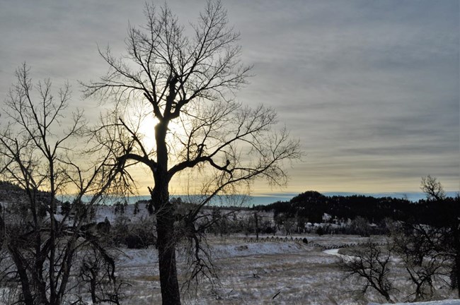 Barren trees with snow, a small river, and rising sun in background.