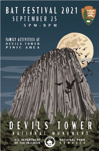 poster displaying devils tower with a full moon and bats flying