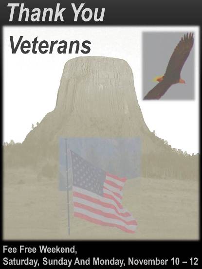 Fees Waived Veterans Day Weekend, 2012