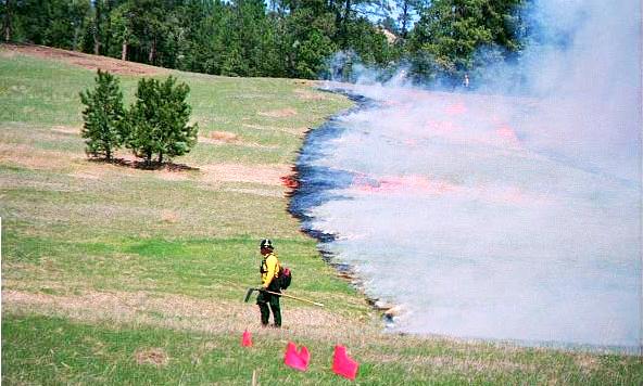 Firefighter monitoring a Prescribed Burn