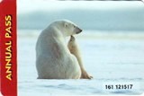 A park pass image of a polar bear and cub sitting on ice