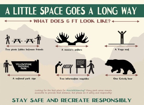 Graphic showing what 6 feet apart looks like with 2 picnic tables, a moose's antlers, a yoga mat, a national park sign, 2 information waysides, and a grizzly bear.