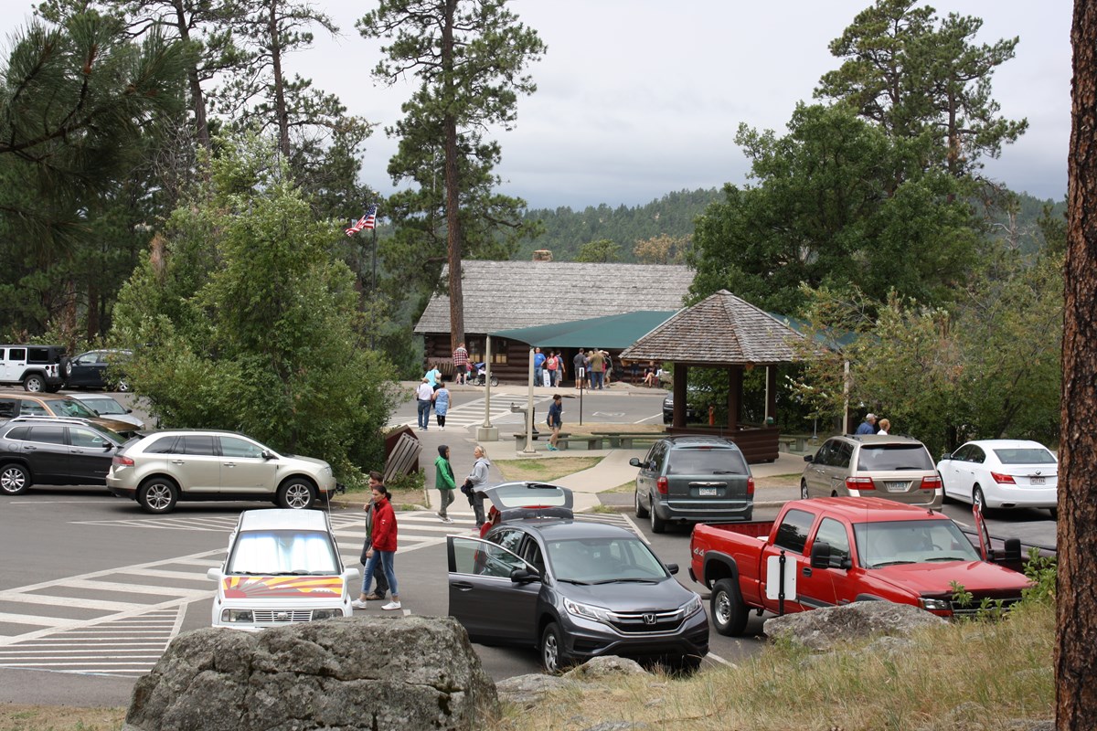 Parking lot filled with cars in a wooded area