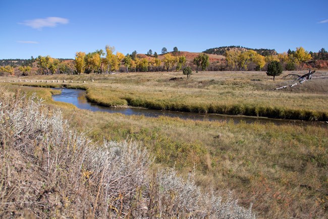 River meandering through grass with cement pilons and trees in the background