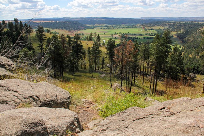 View of a green river valley with boulders and pine trees in the foreground and mountain ridges in the background