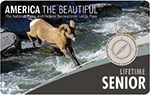 Picture of the lifetime senior pass, showing a bighorn sheep