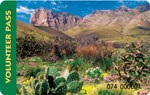 A park pass showing a desert landscape with cacti in the foreground