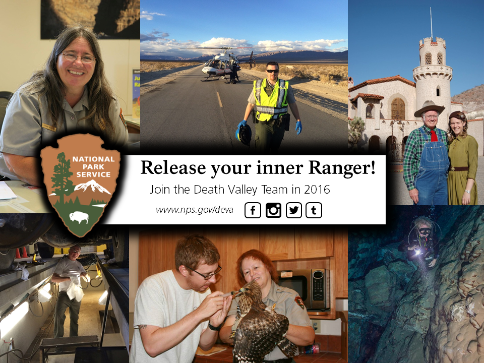 Collage of National Park Rangers working in various roles. Collage of National Park Rangers working in various roles.