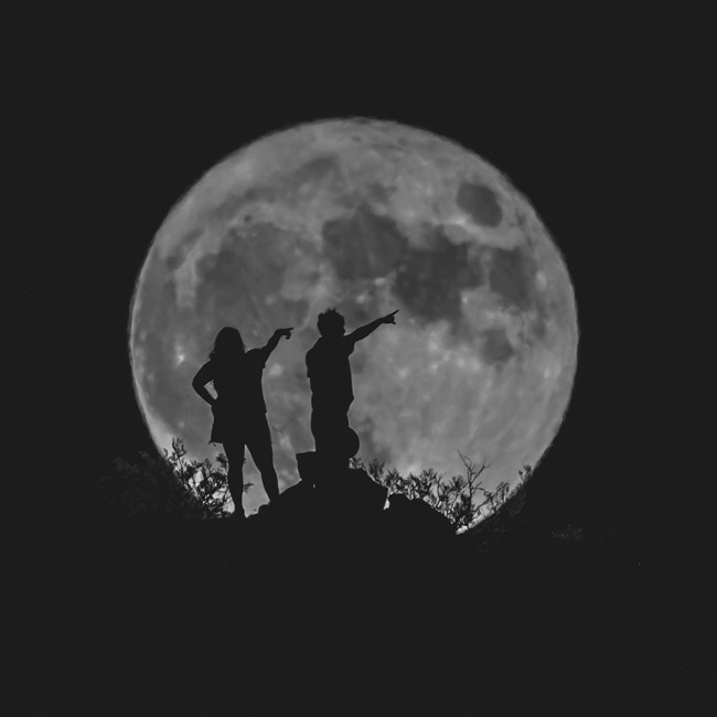 Silhouette of a man and woman standing on rocks surrounded by small shrubs, pointing at a large full moon.