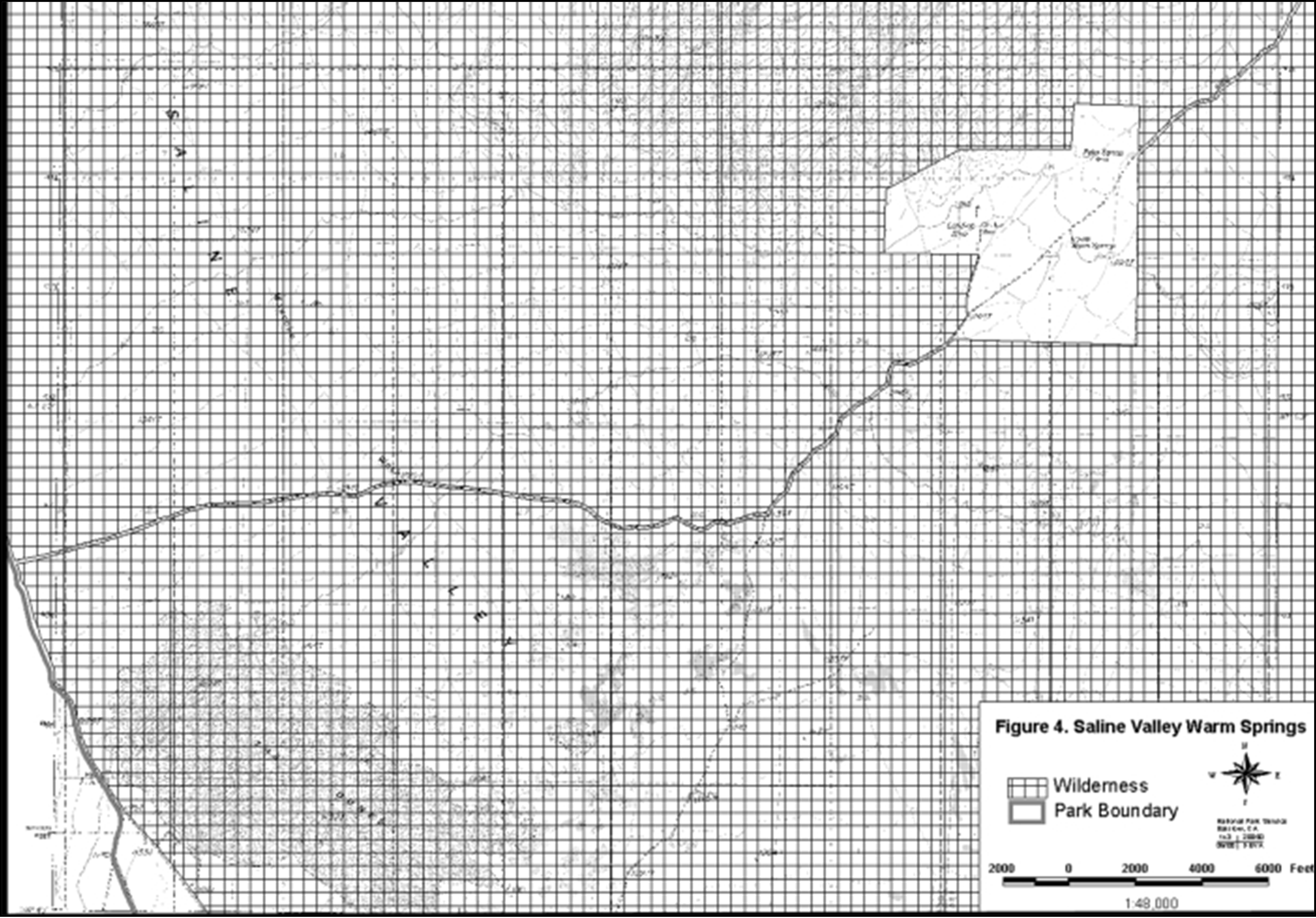 Figure 4. Saline Valley Warm Springs