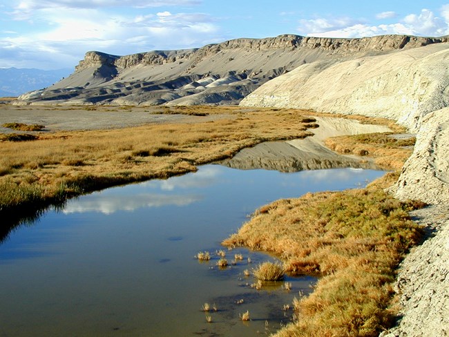 A tan bare hill with a pool of water below and brown plants