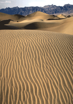 sand dune desert