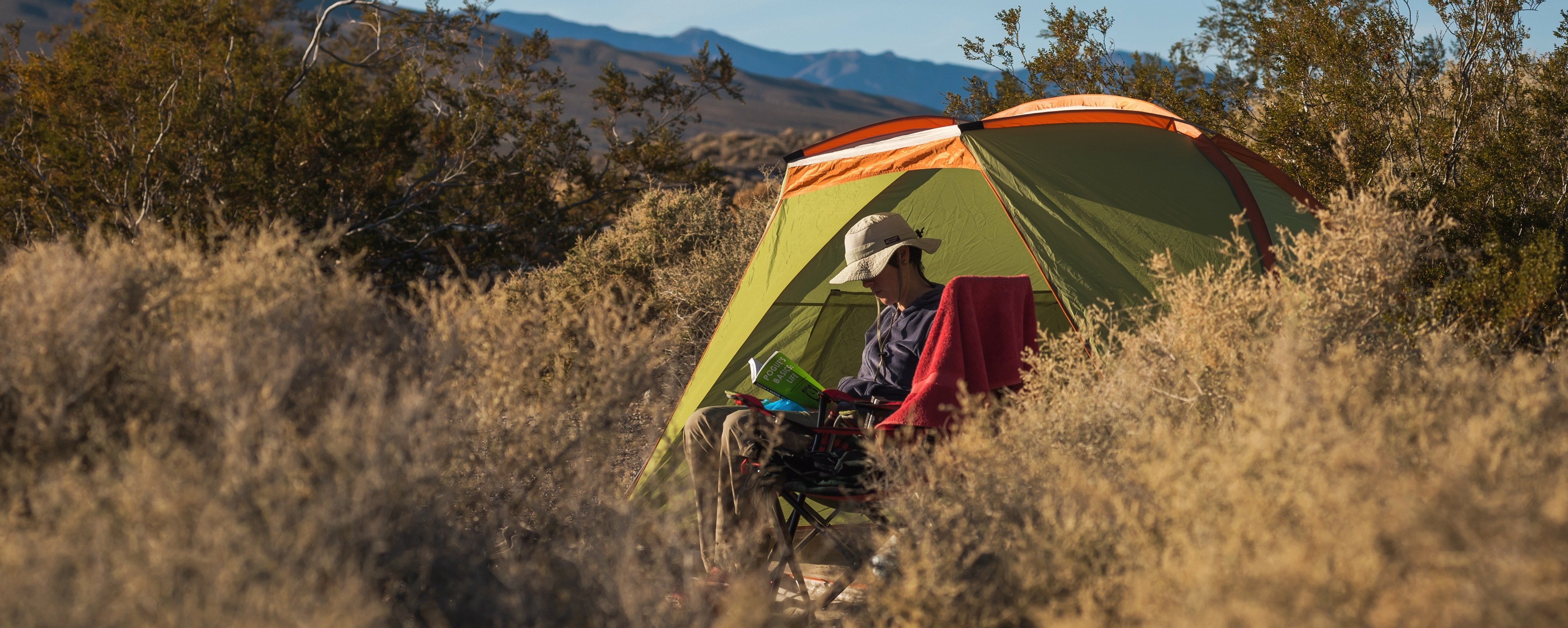 A camper in a bucket hat sits next to a green tent reading a book. The campsite is among green and brown brush.