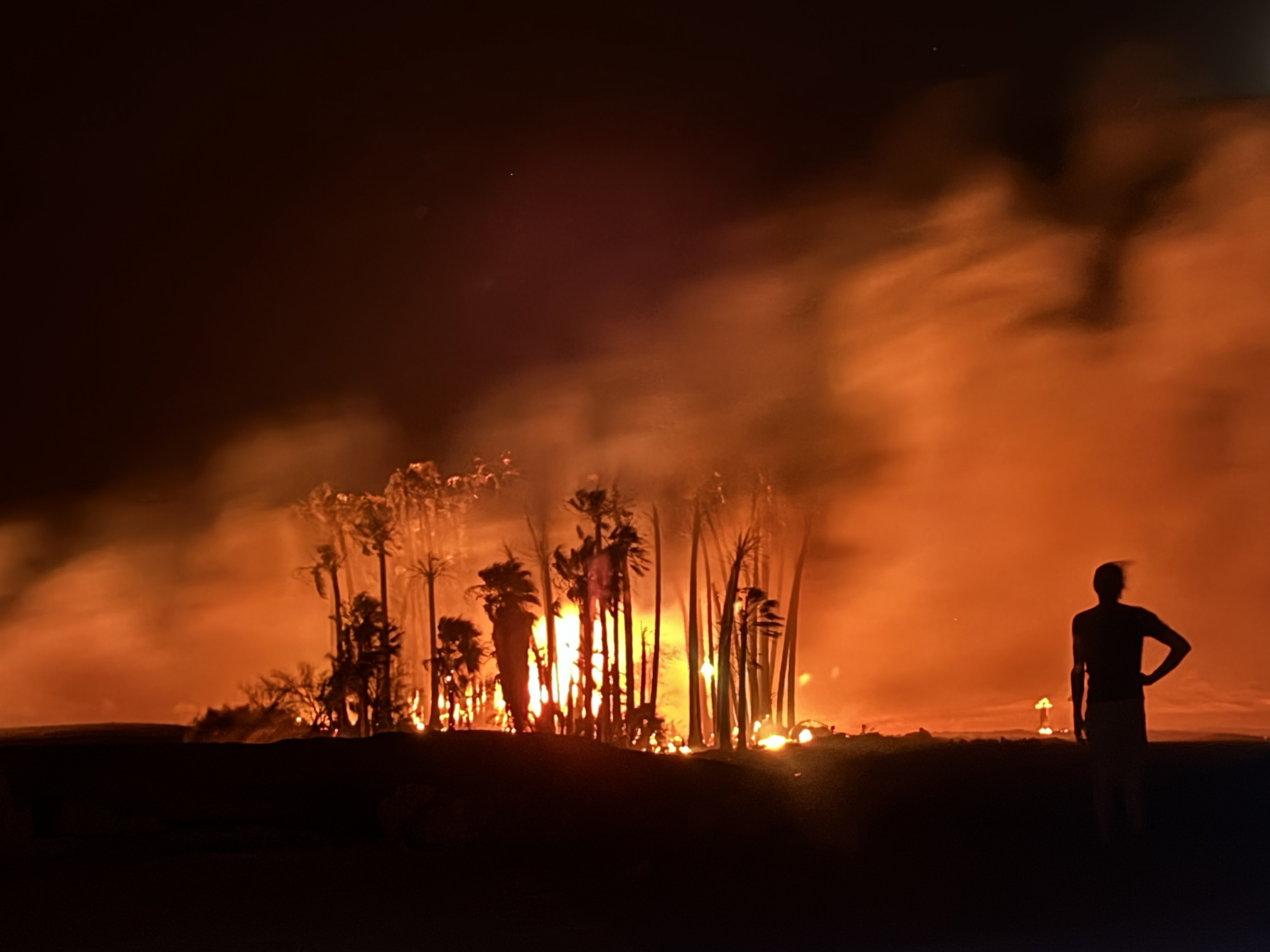 A person stands on the right looking at the fire, which is bright white and yellow light in palm trees and orange smoke.