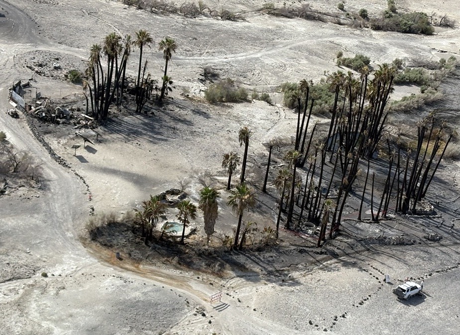 A photo taken from an airplane looking down at an oblique angle. Two clumps of partially burned palm trees are surrounded by brown flat ground. One white vehicle, a blue pool of water, and some debris can be seen.