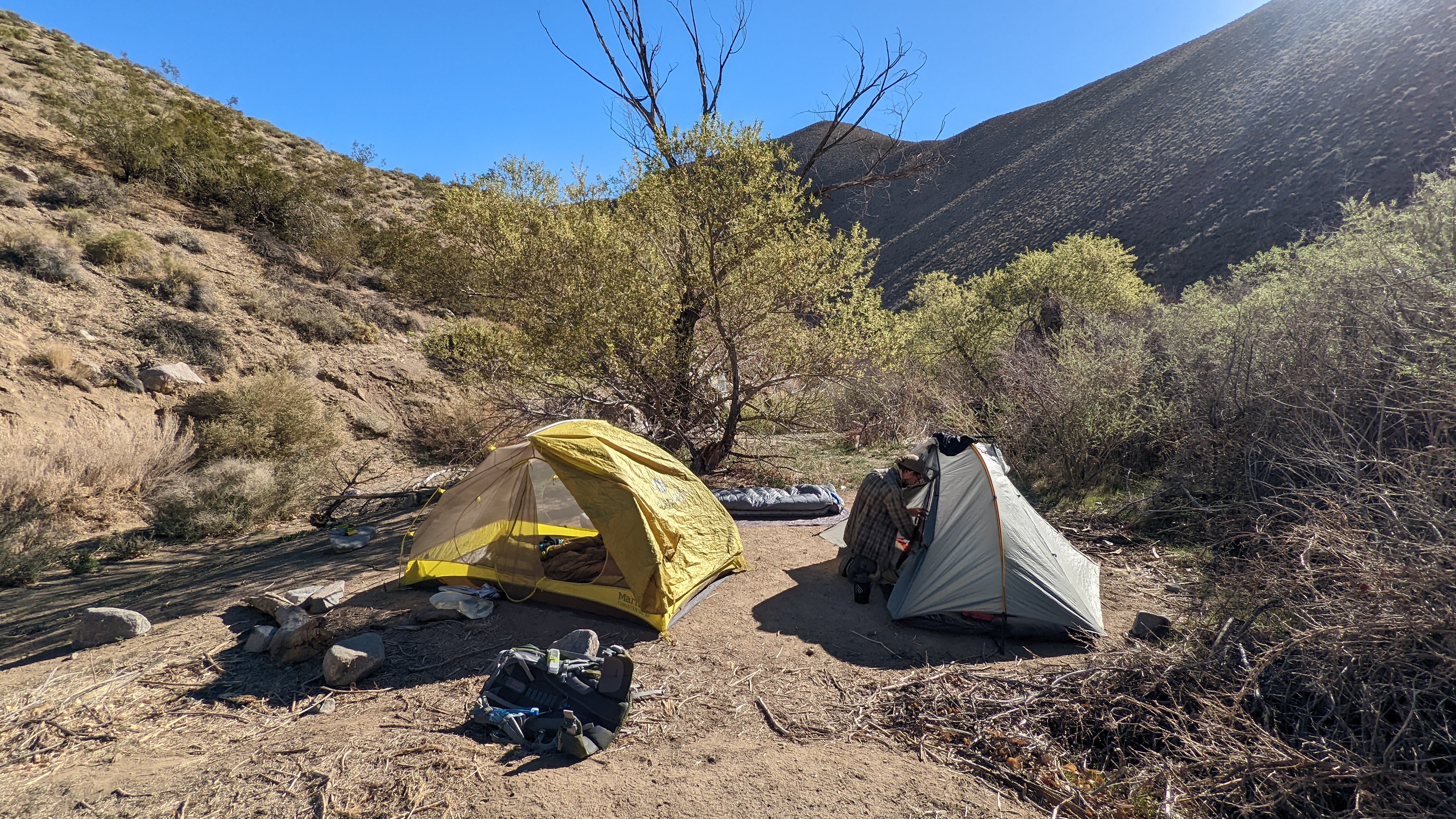 A person squats next to one of two tents. Shrubs, a small tree, and hills are in the background.