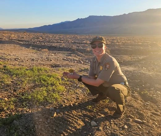 A person wearing dark green pants and a gray shirt squats next to small bright green plants.