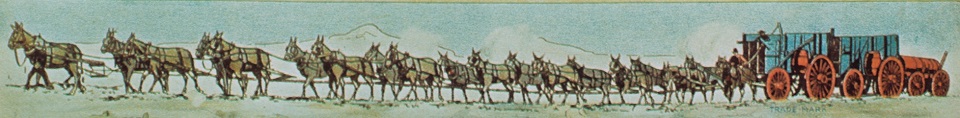Mules are lined up facing to the left, connected by a chain that is pulling three wagons.