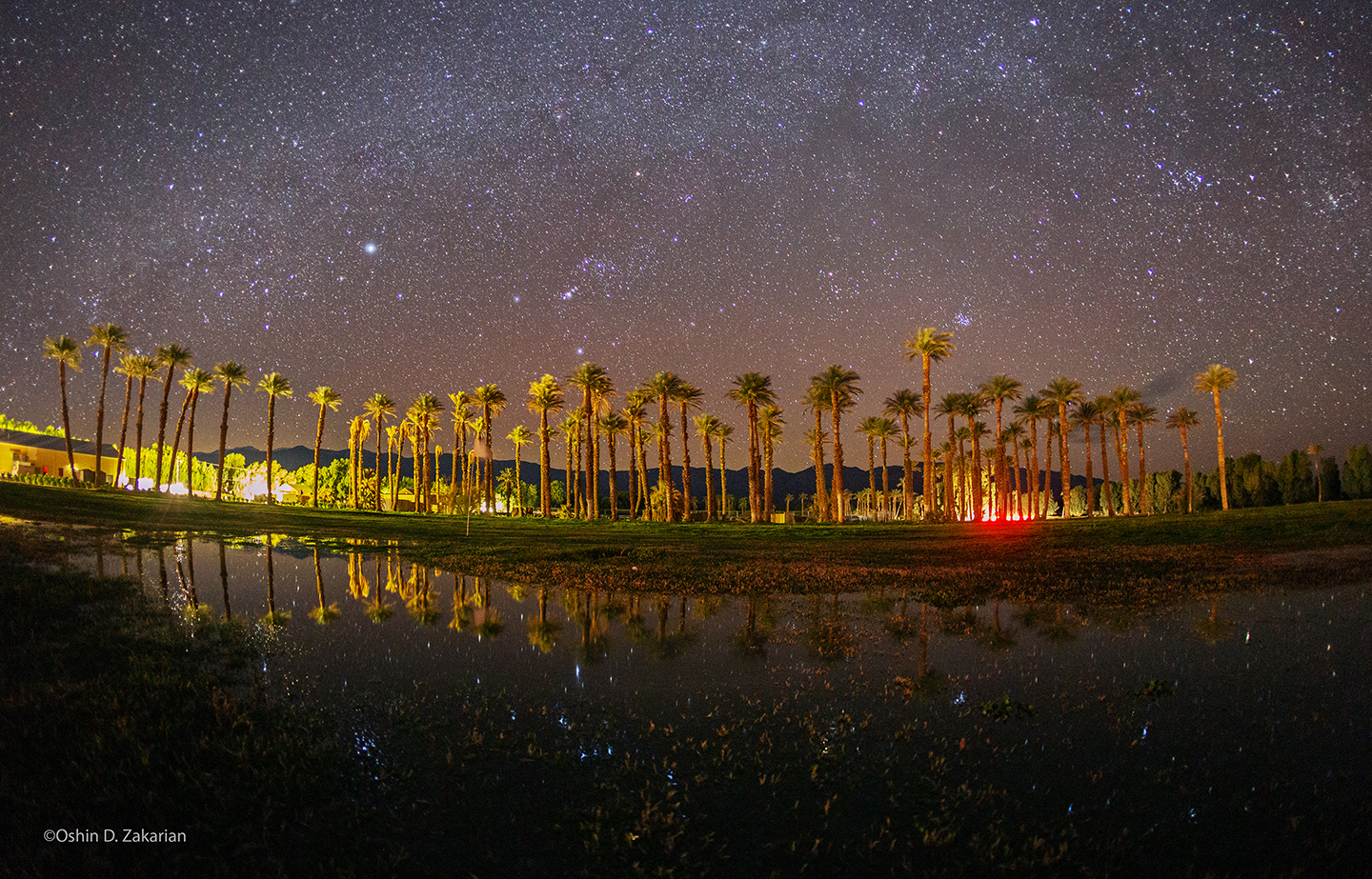 Stars reflect in the water while palm trees are illuminated with red and white light.