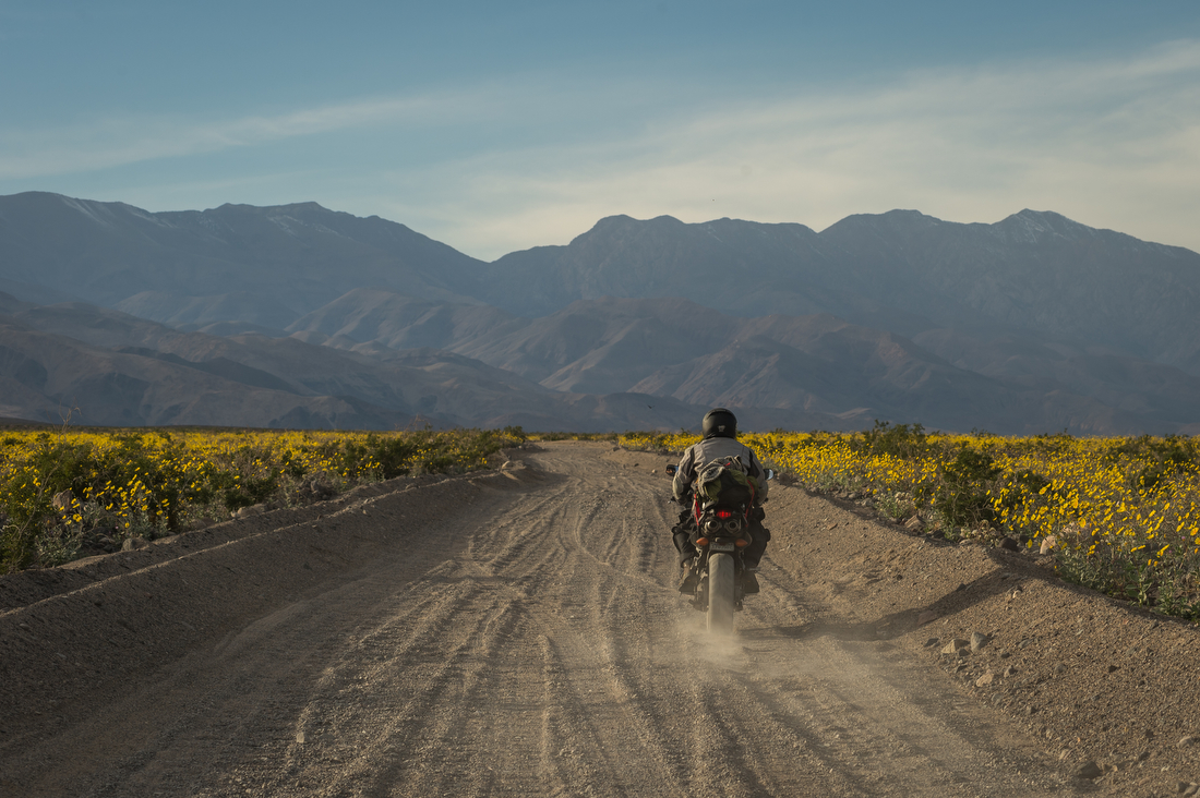 A single motorcycle travels away from the camera on an unpaved road.