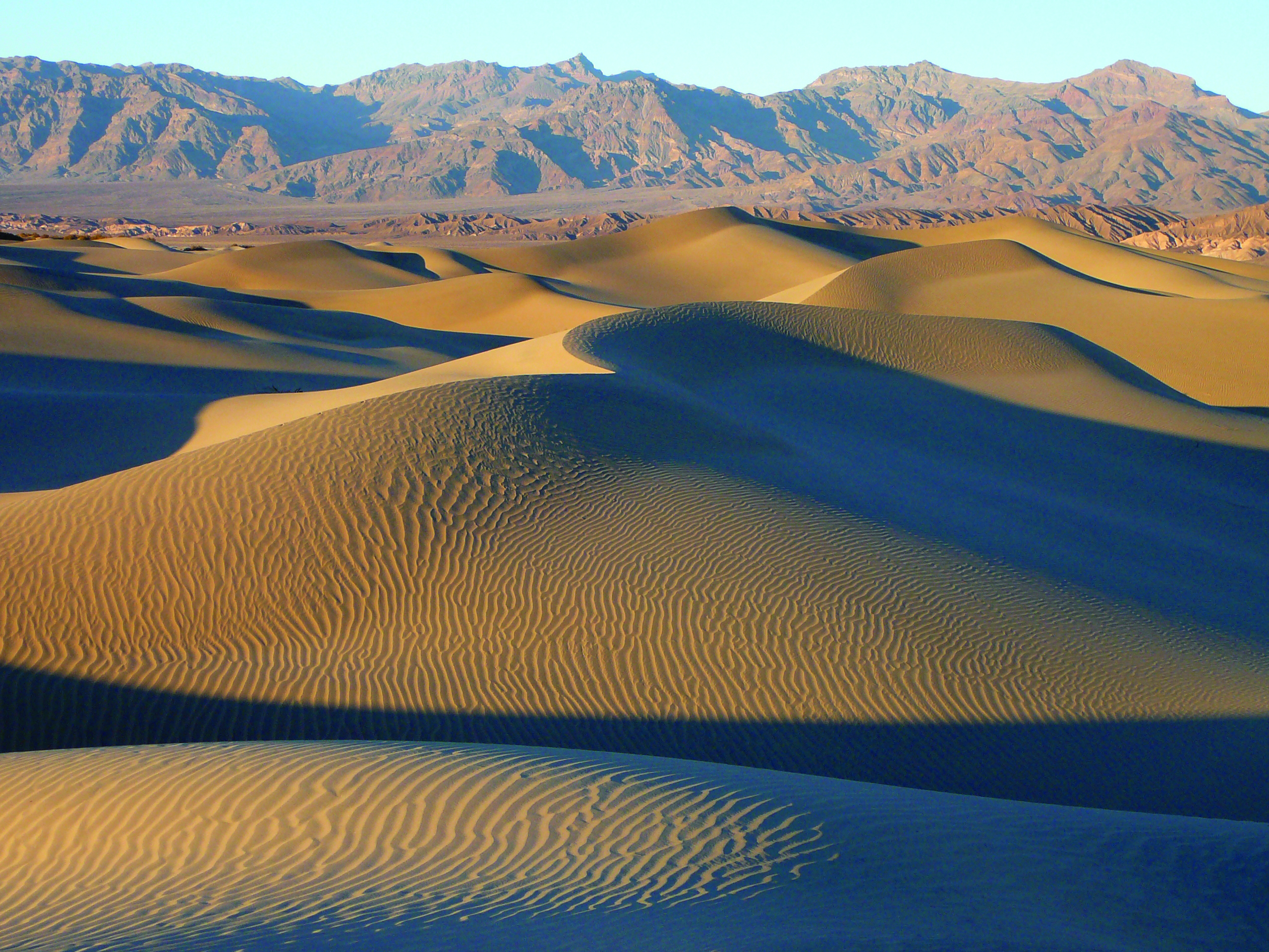 Yellow sand dunes in the foreground with brown mountains in the background.
