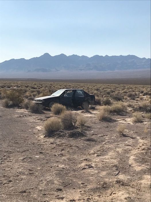 A dark-colored sedan is parked among low shrubs with mountains in the background.