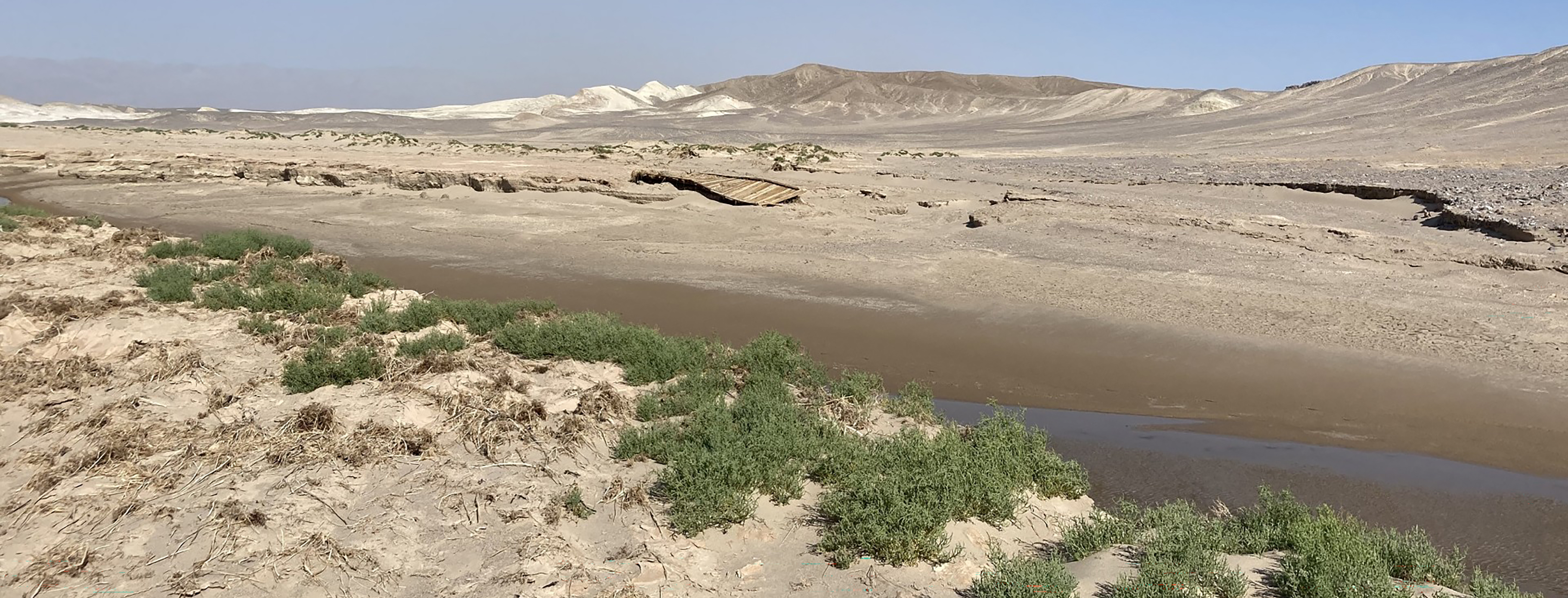 Pickleweed and boardwalk remnant A shallow stream runs through a tan desert landscape with green vegetation on the edge. A broken boardwalk blends into the middle ground of the image.