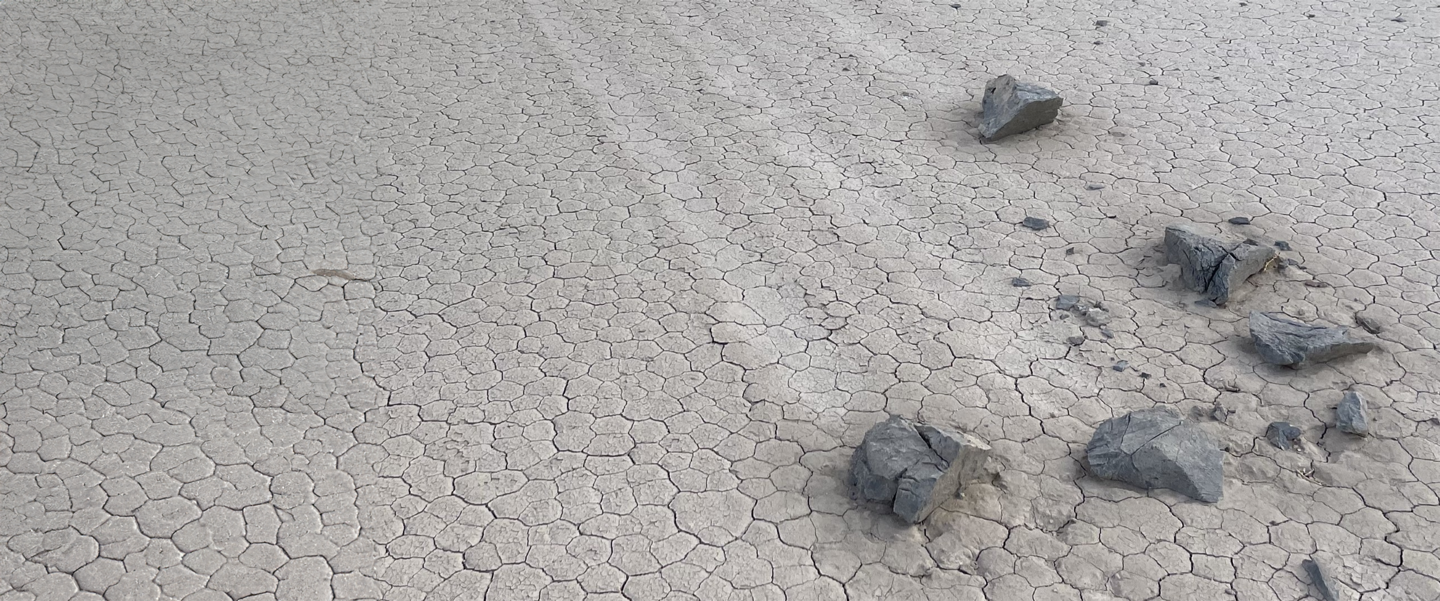 Gray rocks resting on cracked mud with indents behind the rocks indicating movement.